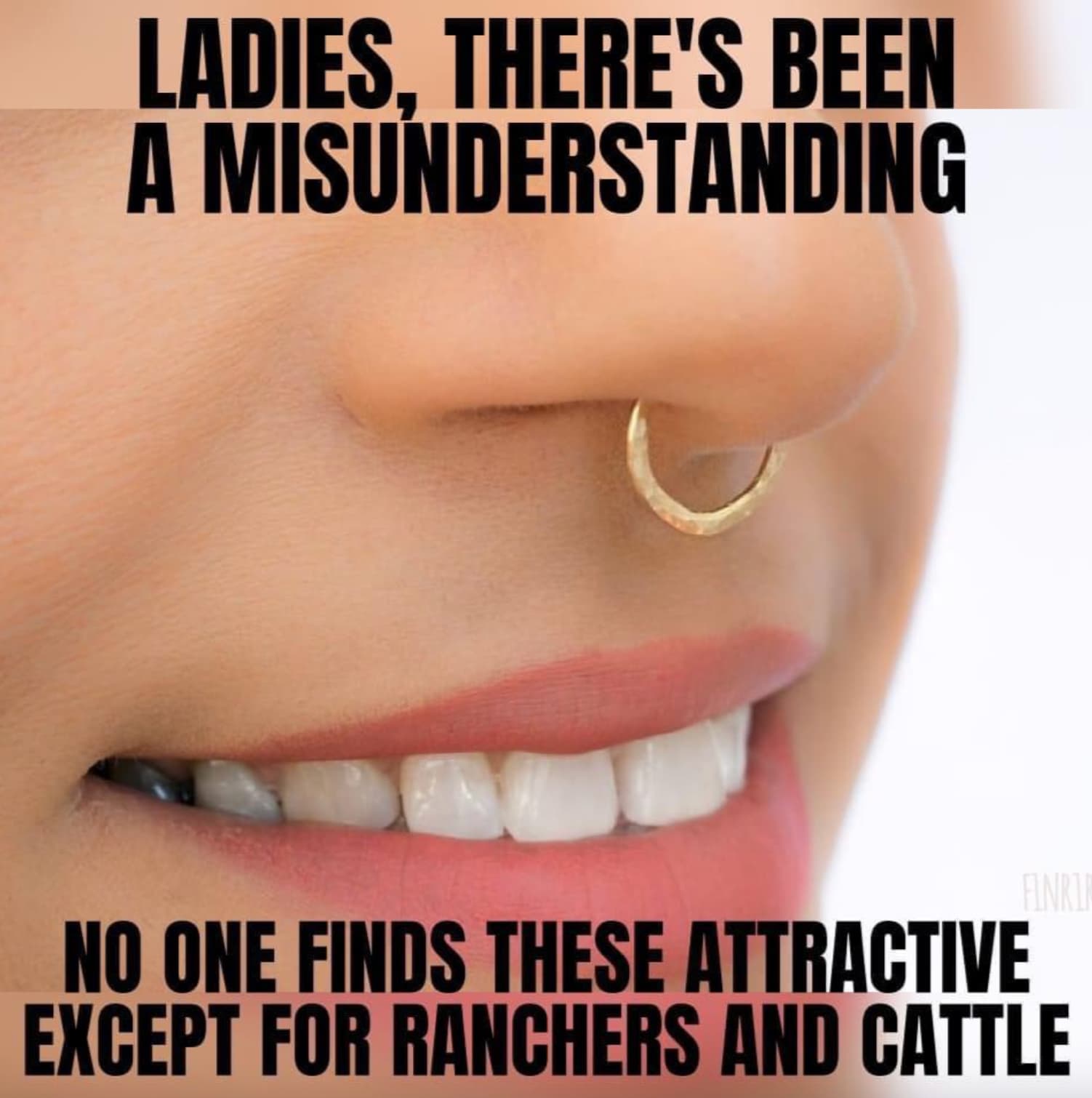 nose ring meme - Ladies, There'S Been A Misunderstanding No One Finds These Attractive Except For Ranchers And Cattle